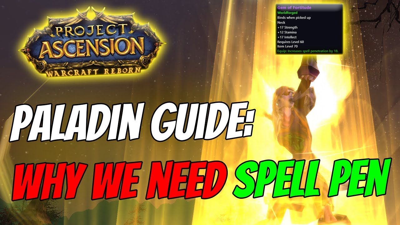This is why Paladins need Spell Penetration! [Bronzebeard | Ascension WoW Classic+]