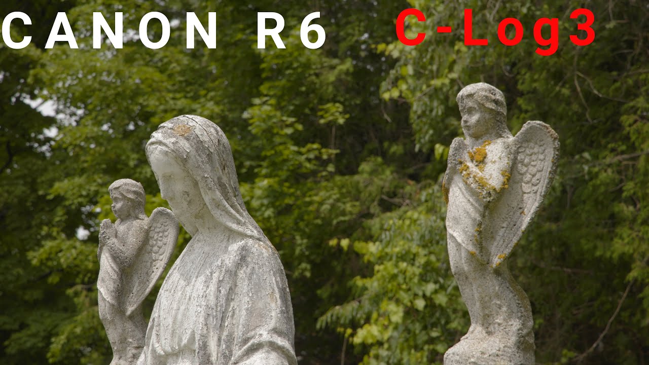 Canon R6 C-Log3 | Cinematic