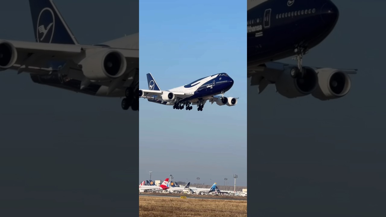 Lufthansa 100 Years Boeing 747 Landing at Frankfurt ✈️ #lufthansa100years #speciallivery #boeing747