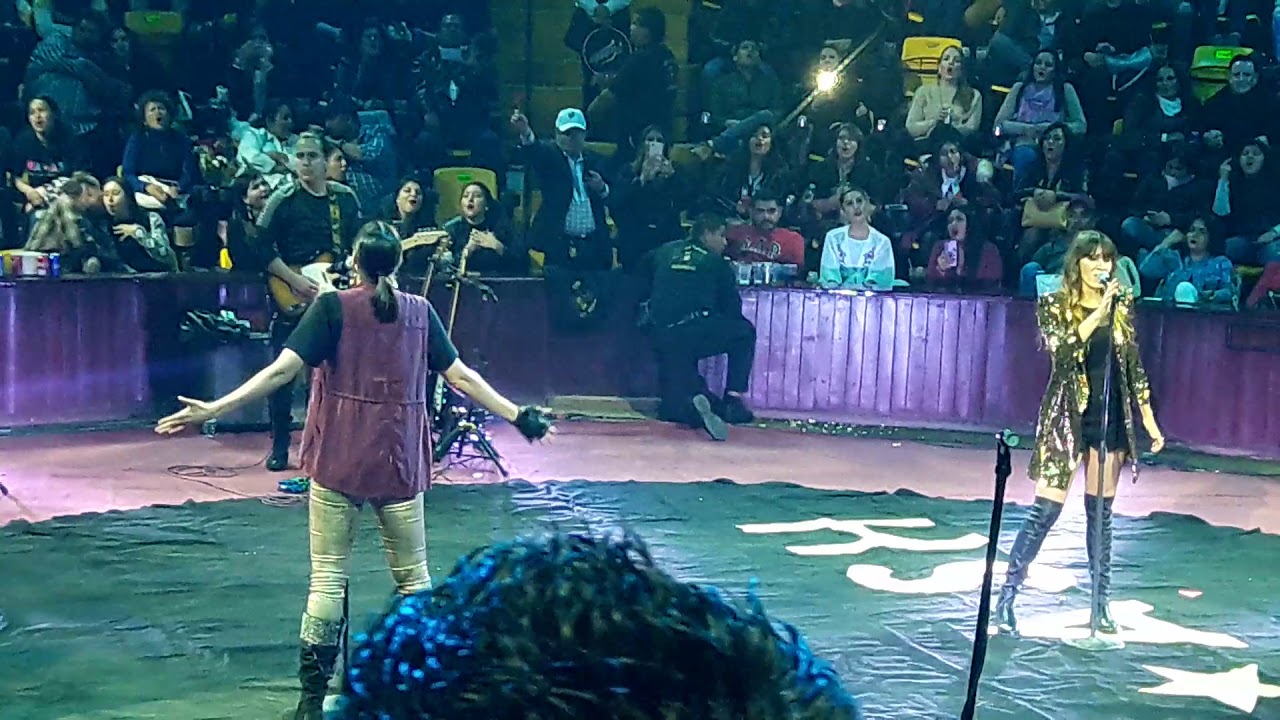 Palenque de León 2019 Ha*ash te dejo en libertad