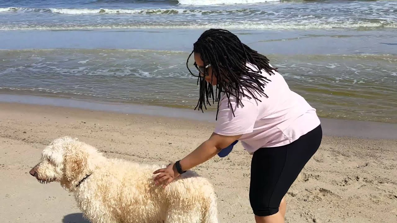 Road Trip | Kure Beach | Our Dog GoldenDoodle Swims In the Ocean | Family Vlog