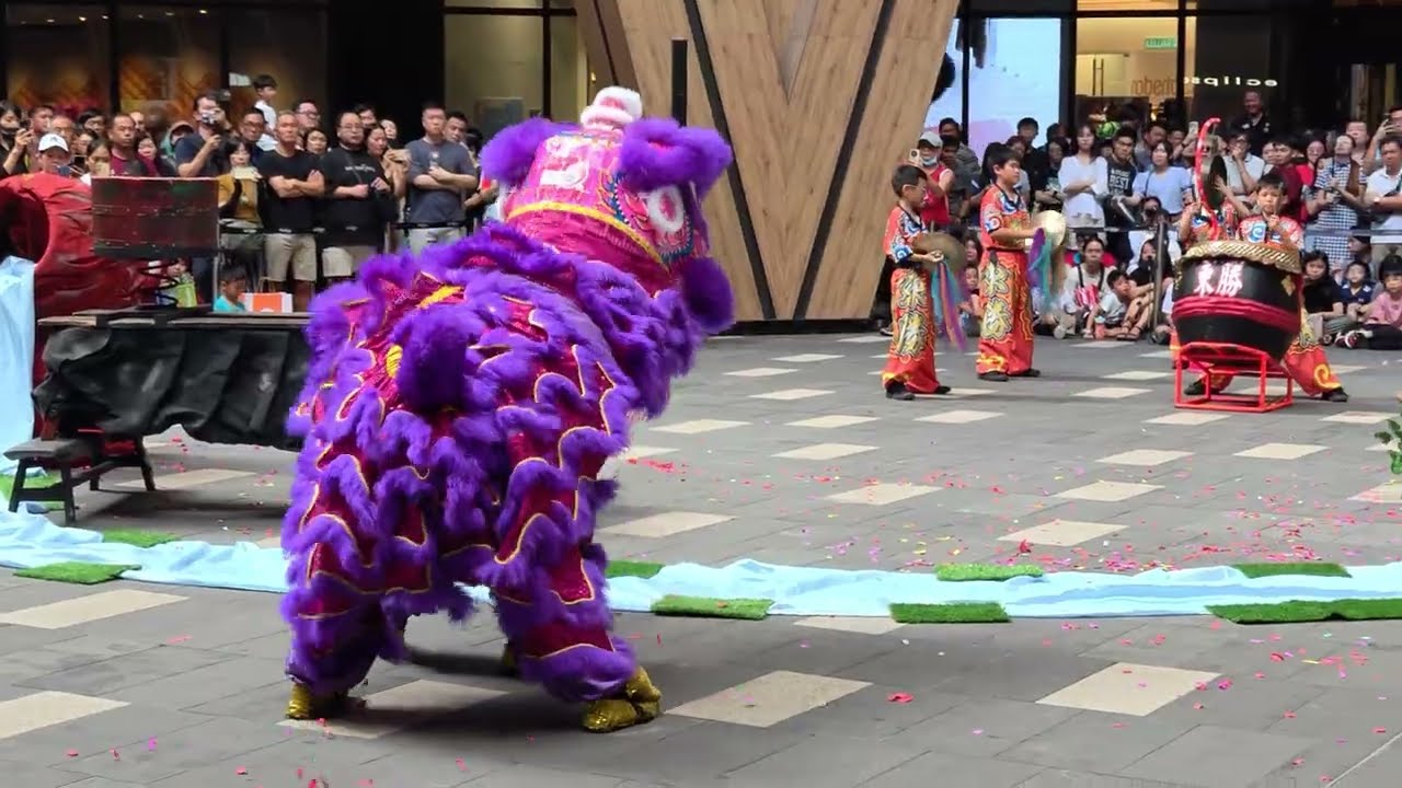 #龙狮节 Dong Sheng Lion Dance (múa lân 舞獅) by 東勝 @ Lalaport, Malaysia.  20260201