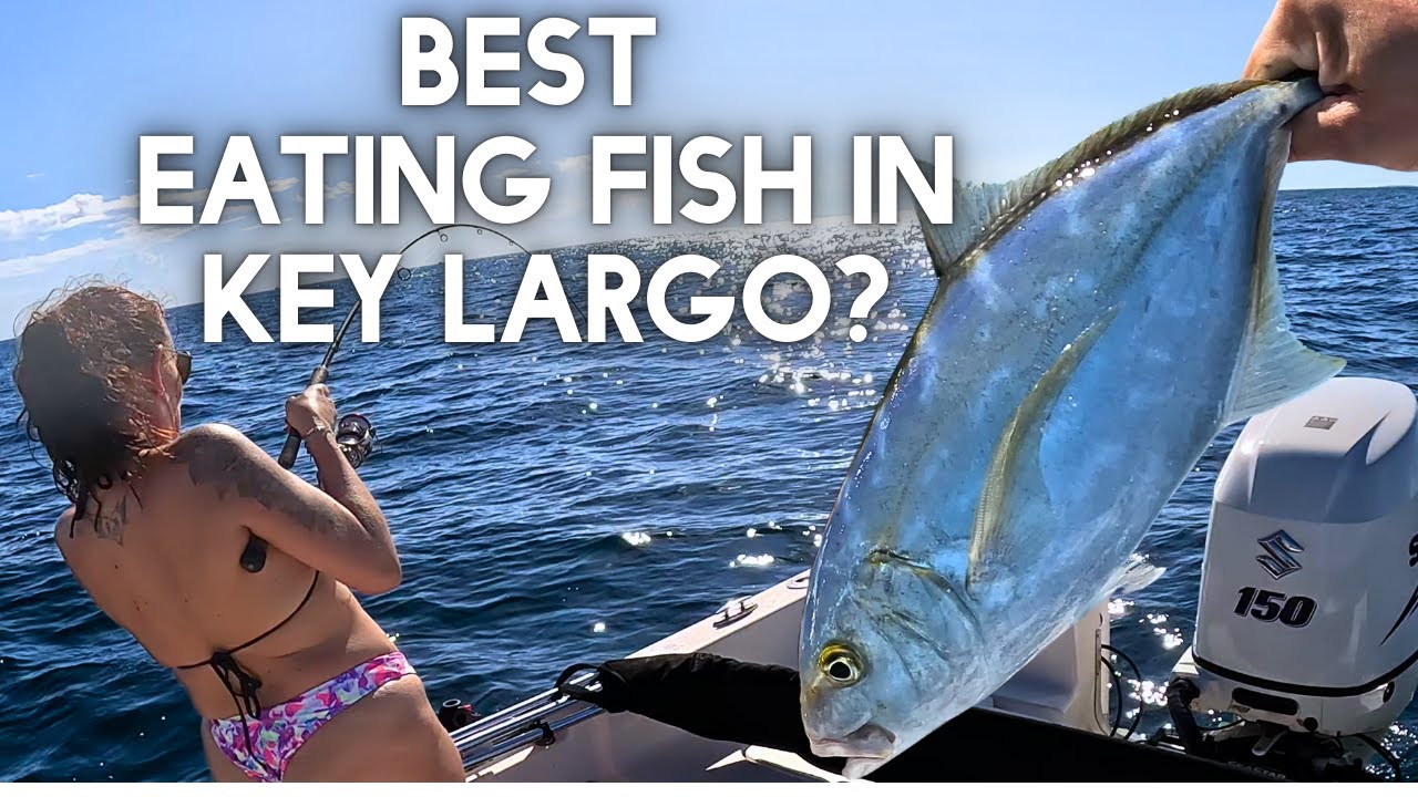 От рифа Патч до тарелки | Улов и приготовление блюд на Флоридских островах | Рыбалка на рифах и в...