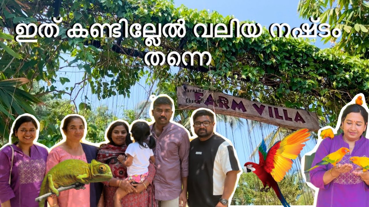 Cute Animals & Farm Life | Farm Villa Thrissur Vlog 🐐/familyvlog🐷🐐🐾🐍🌼