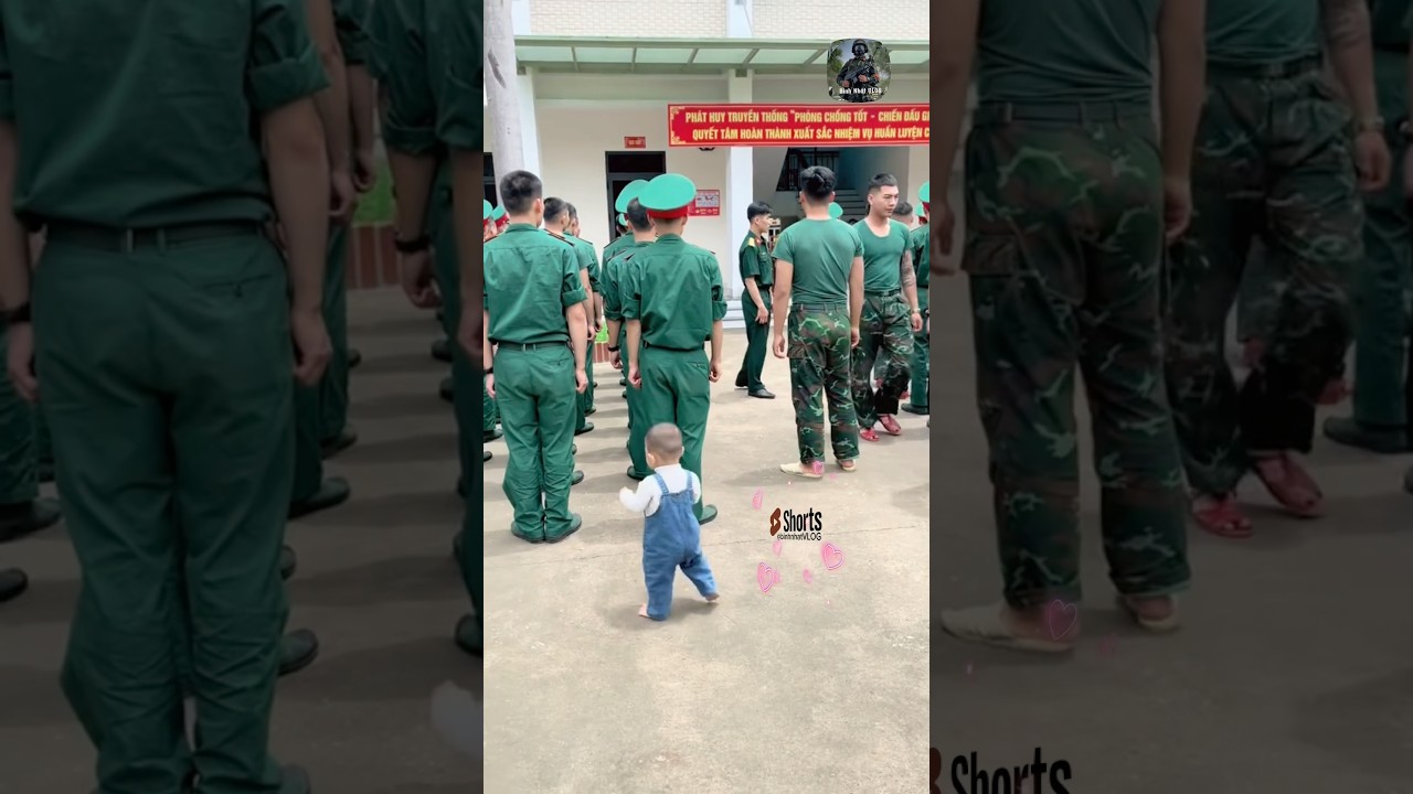 Nay đơn vị c&aacute;c ch&uacute; bộ đội c&oacute; một em b&eacute; nhập ngũ #bodoivietnam #quandoivietnam #short #shortvideo