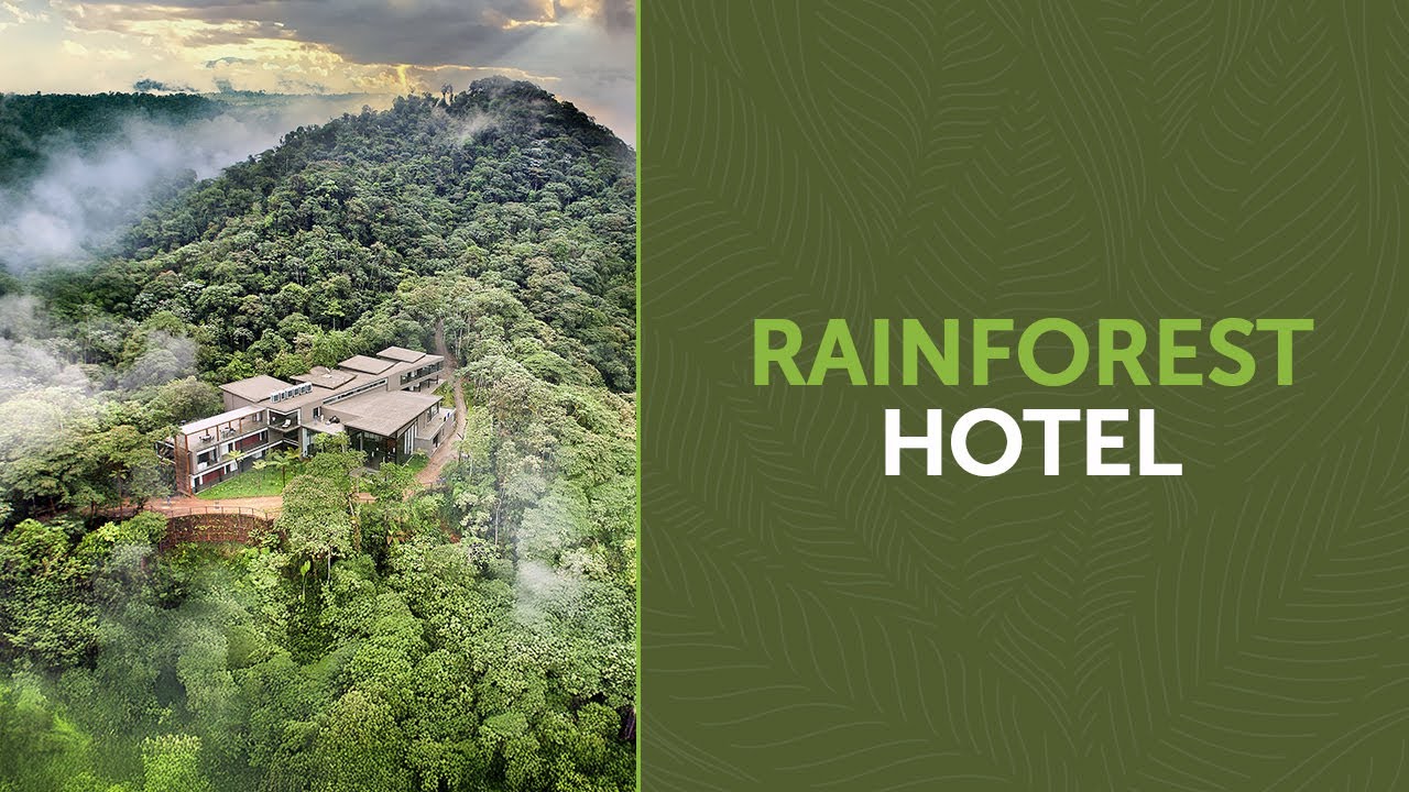 Lodge Mashpi | Discover the Luxury Experience in a rainforest hotel
