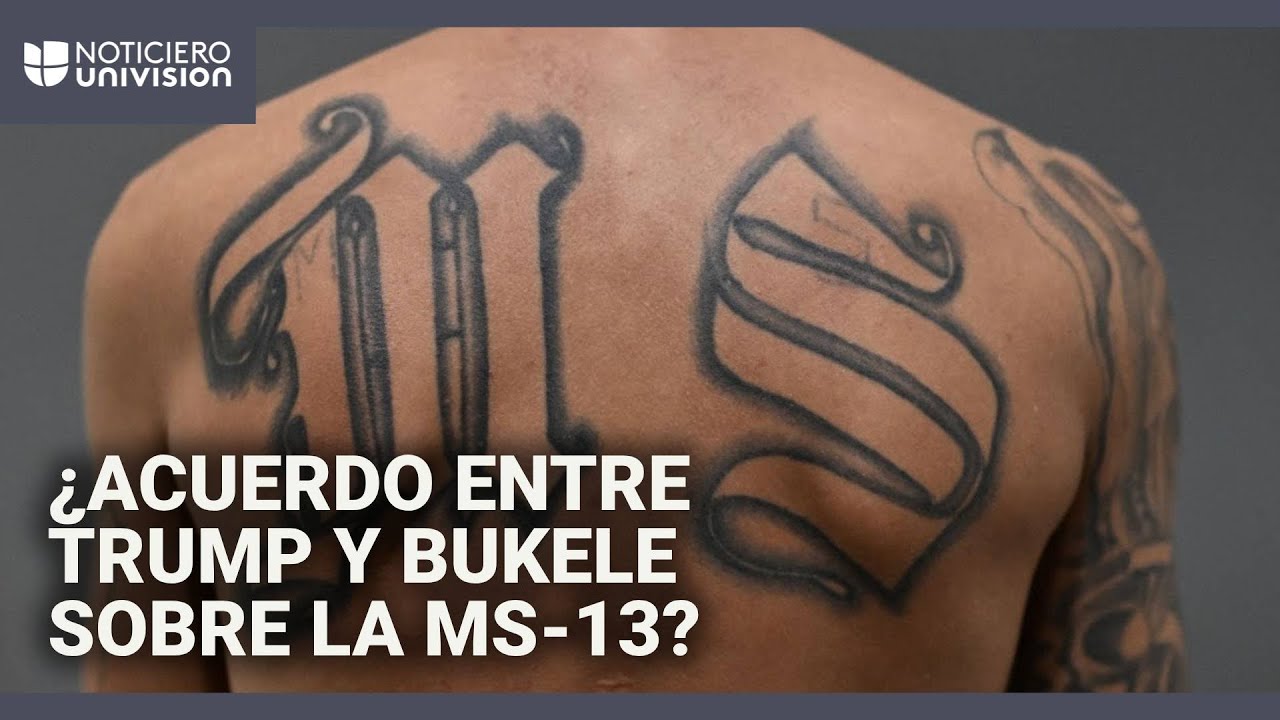 Acuerdo entre Trump y Bukele sobre la MS-13: esto revela una investigación del NYT y ProPublica