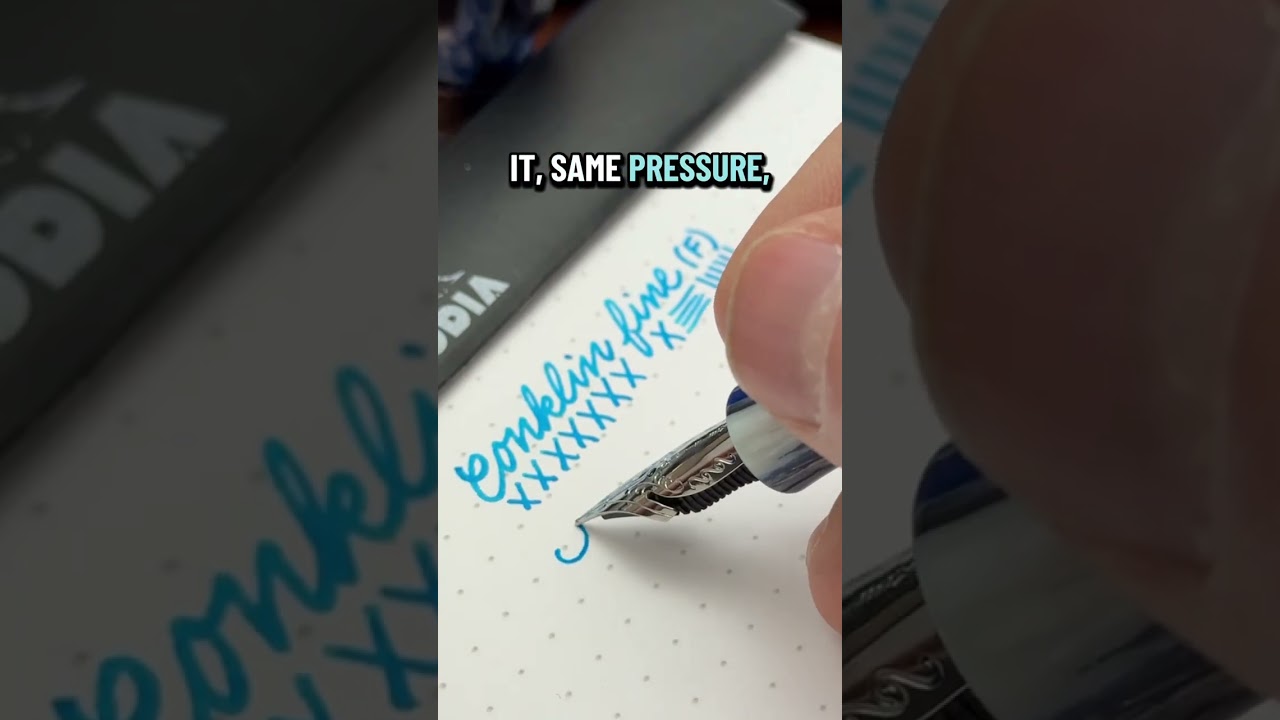 🖋️ What is an omniflex nib?