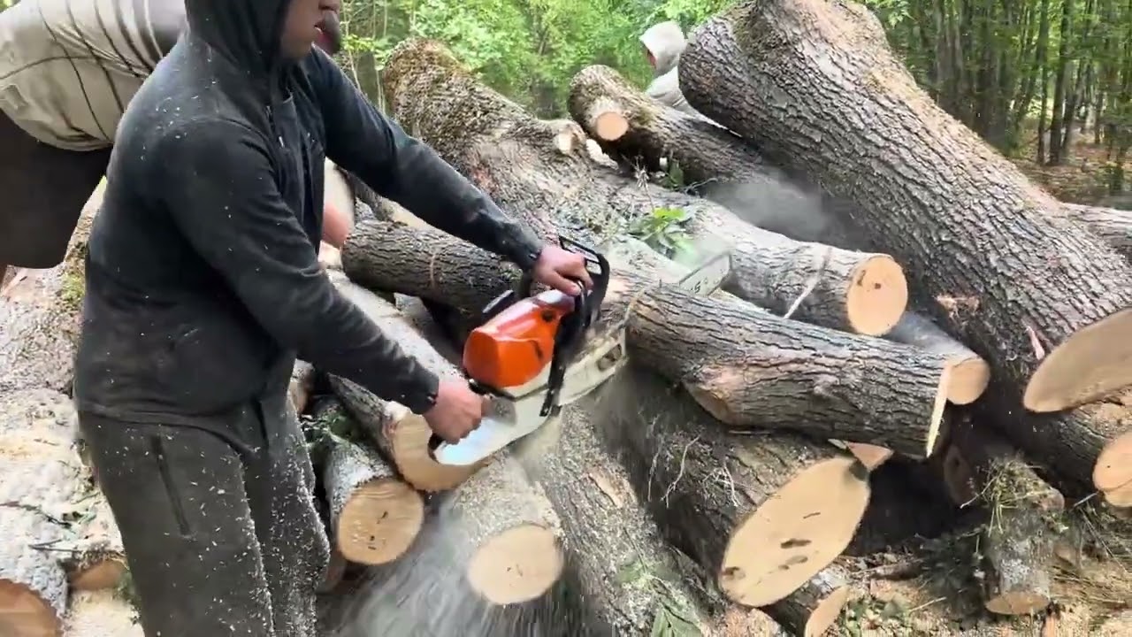 🌳🌳 Stihl ms 462 C-M Best Chainsaw Cutting Tool 🪚
