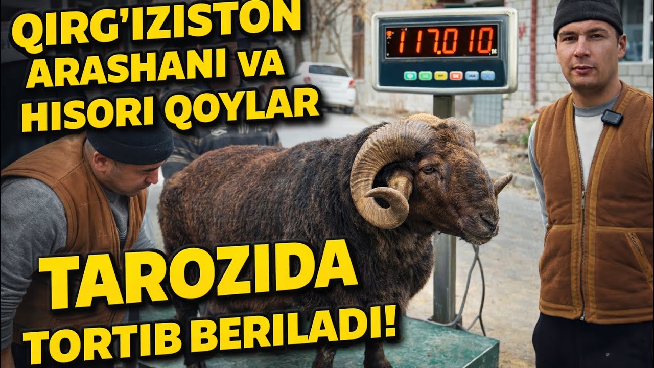 🇰🇬QIRG’IZISTONDAN DAXSHATLARI KELDI😱10 OYLIK ARASHAN VA HISORI QO’ZILAR🔥