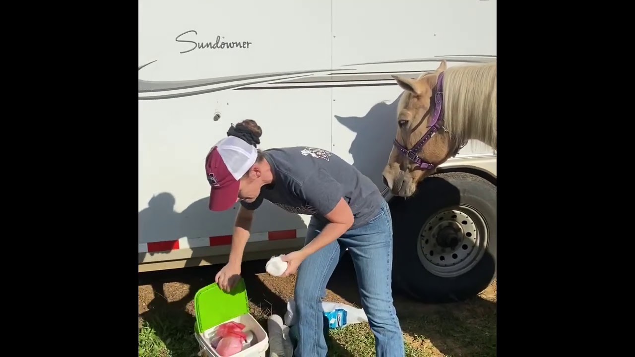 Basic Wound Care for the Horse’s Limbs