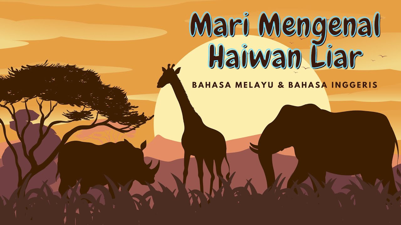 Mengenal Haiwan Liar | Bahasa Melayu & English
