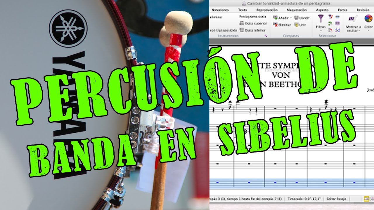 PERCUSIÓN PARA BANDA / SIBELIUS