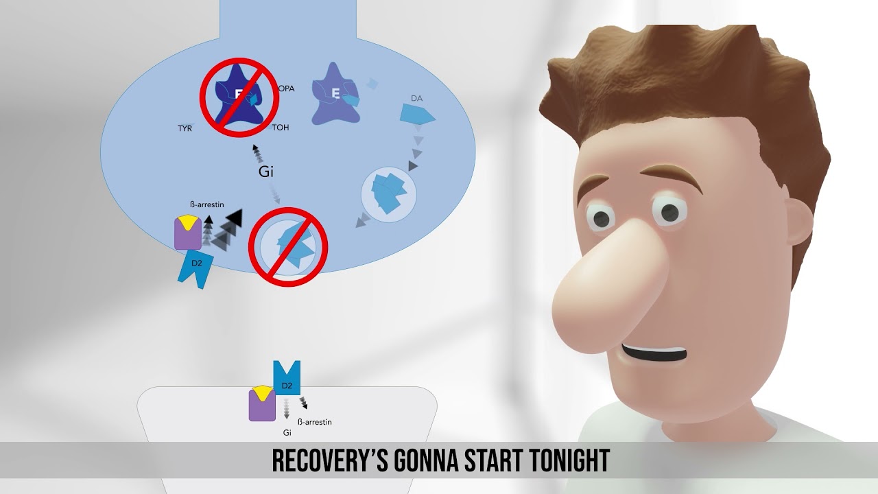 Total Eclipse of the TAAR (Trace Amine-Associated Receptors)