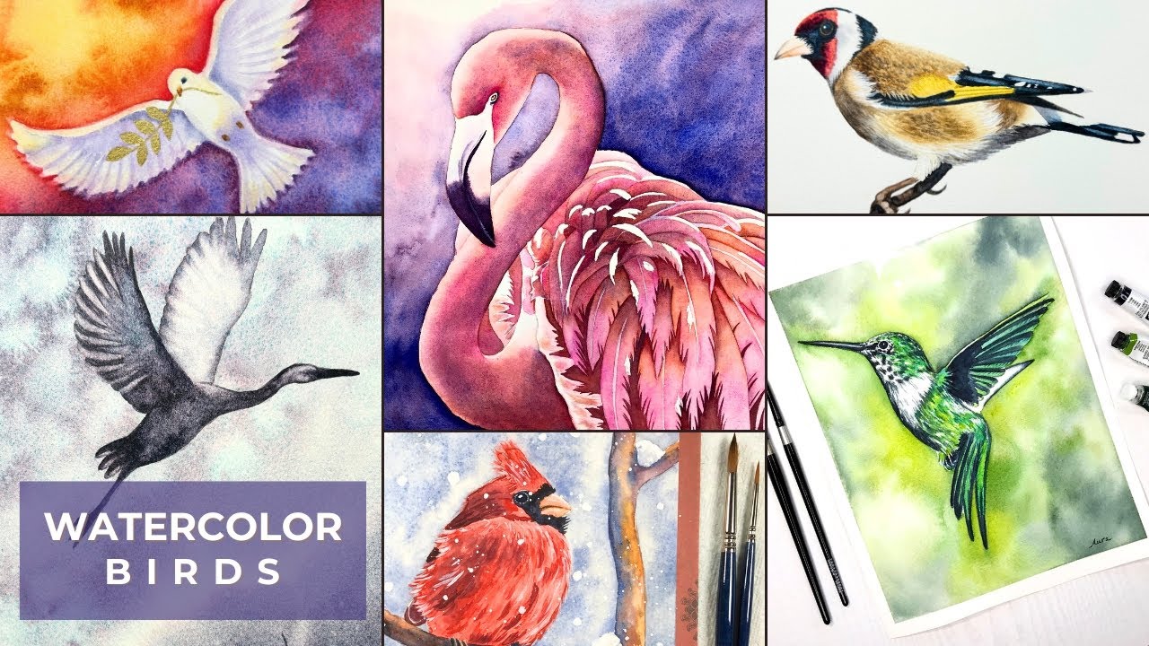 Watercolor Birds - Top 10 Painting Tips from my FAV Bird Tutorials!
