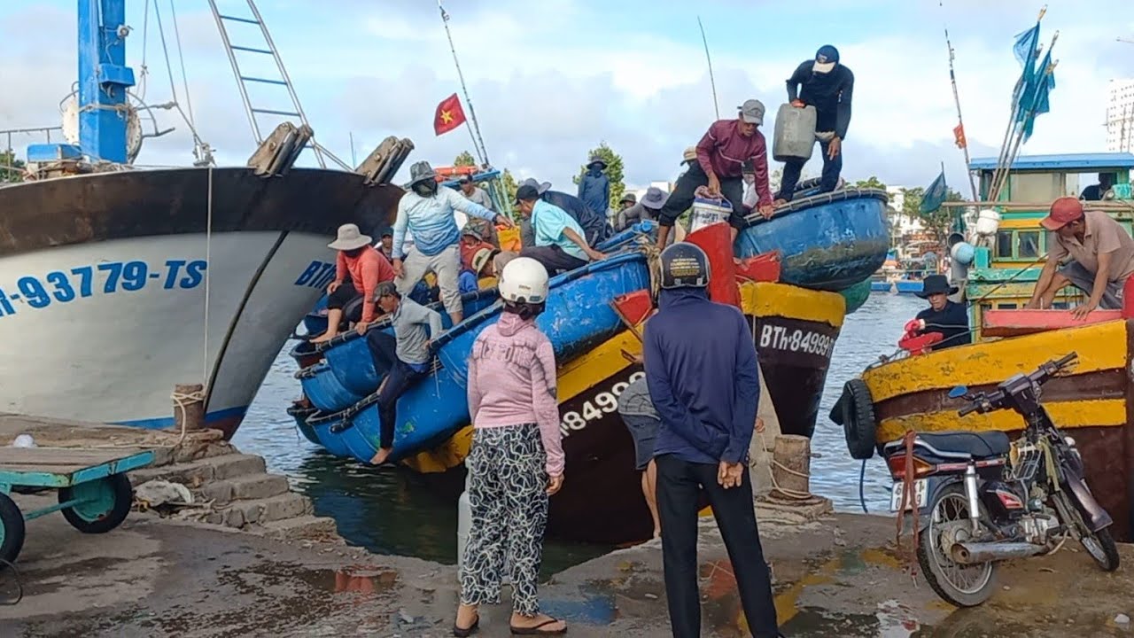 Unloading fresh seafood at Con Cha wetmarket Phan Thiet city