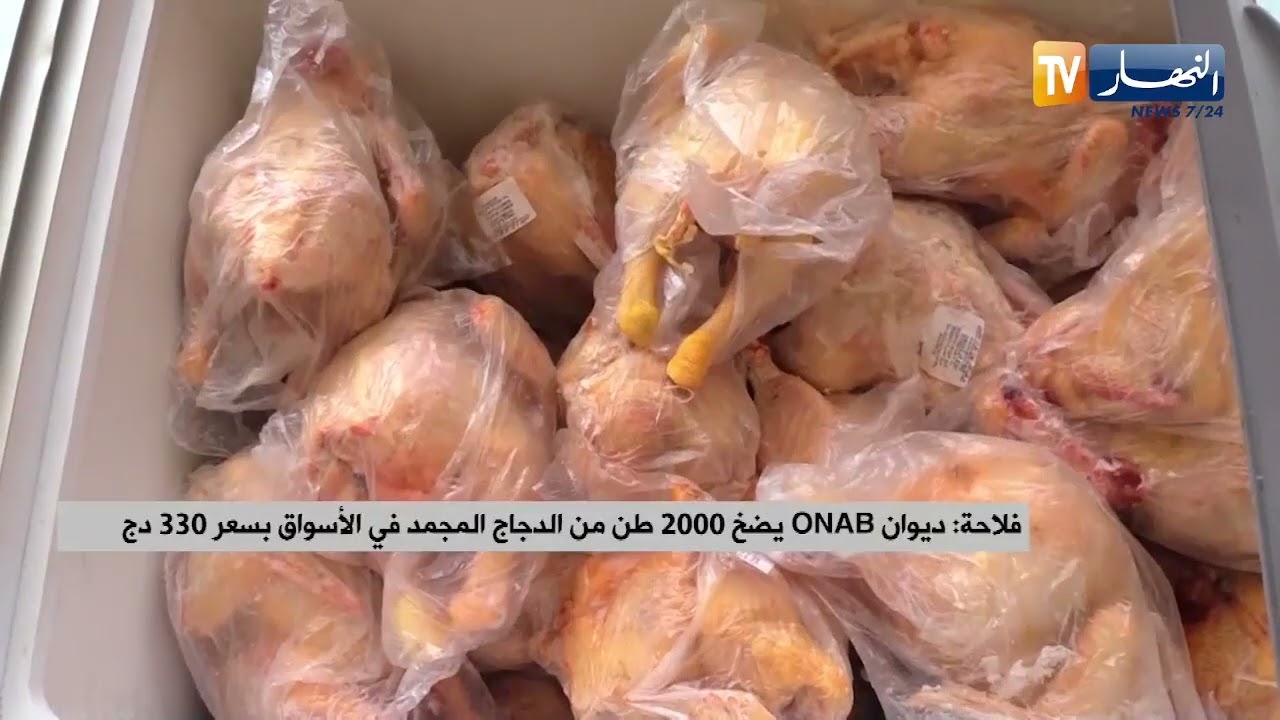 فلاحة : ديوان ONAB يضخ 2000 طن من الدجاج المجمد في الأسواق بسعر 330 دج