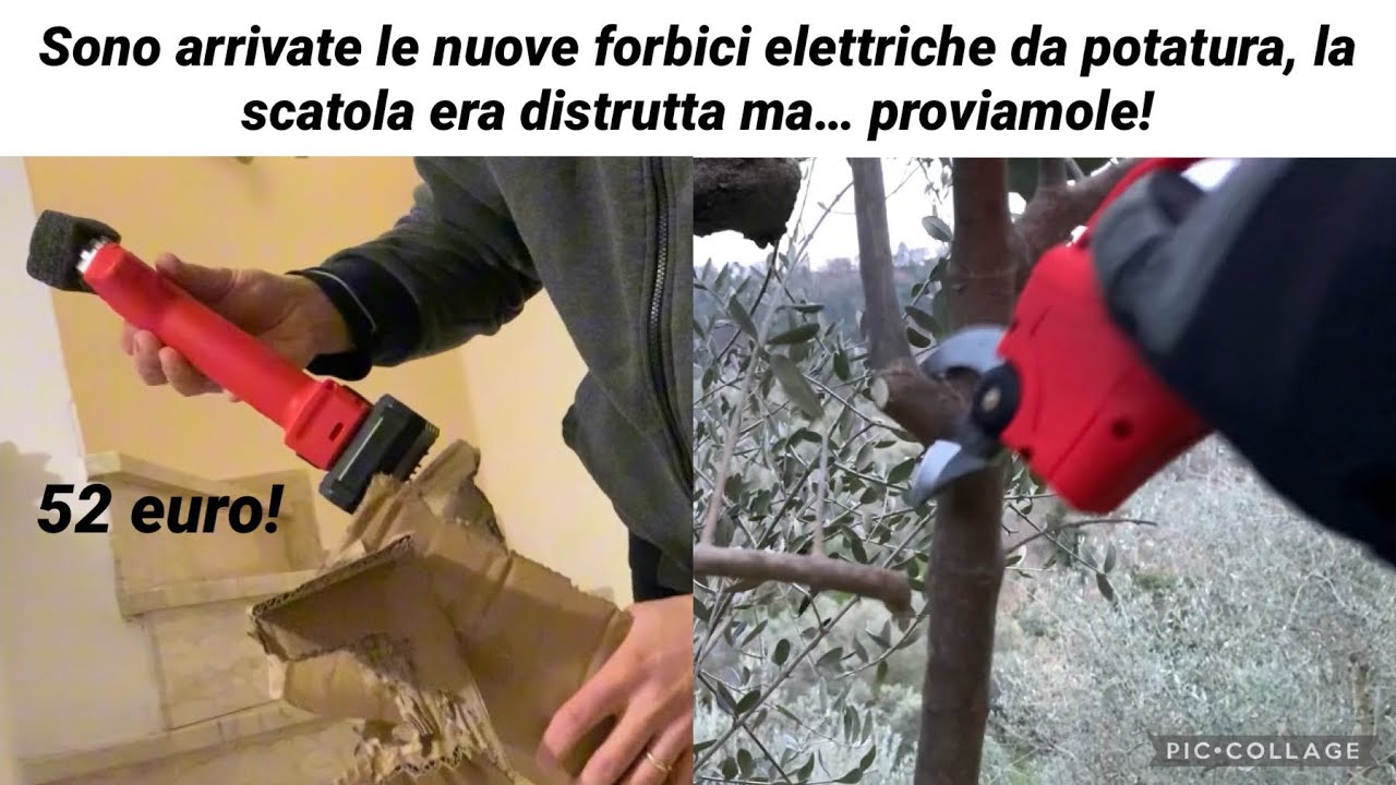 Forbici elettriche da potatura cinesi: Unboxing e prova sul campo
