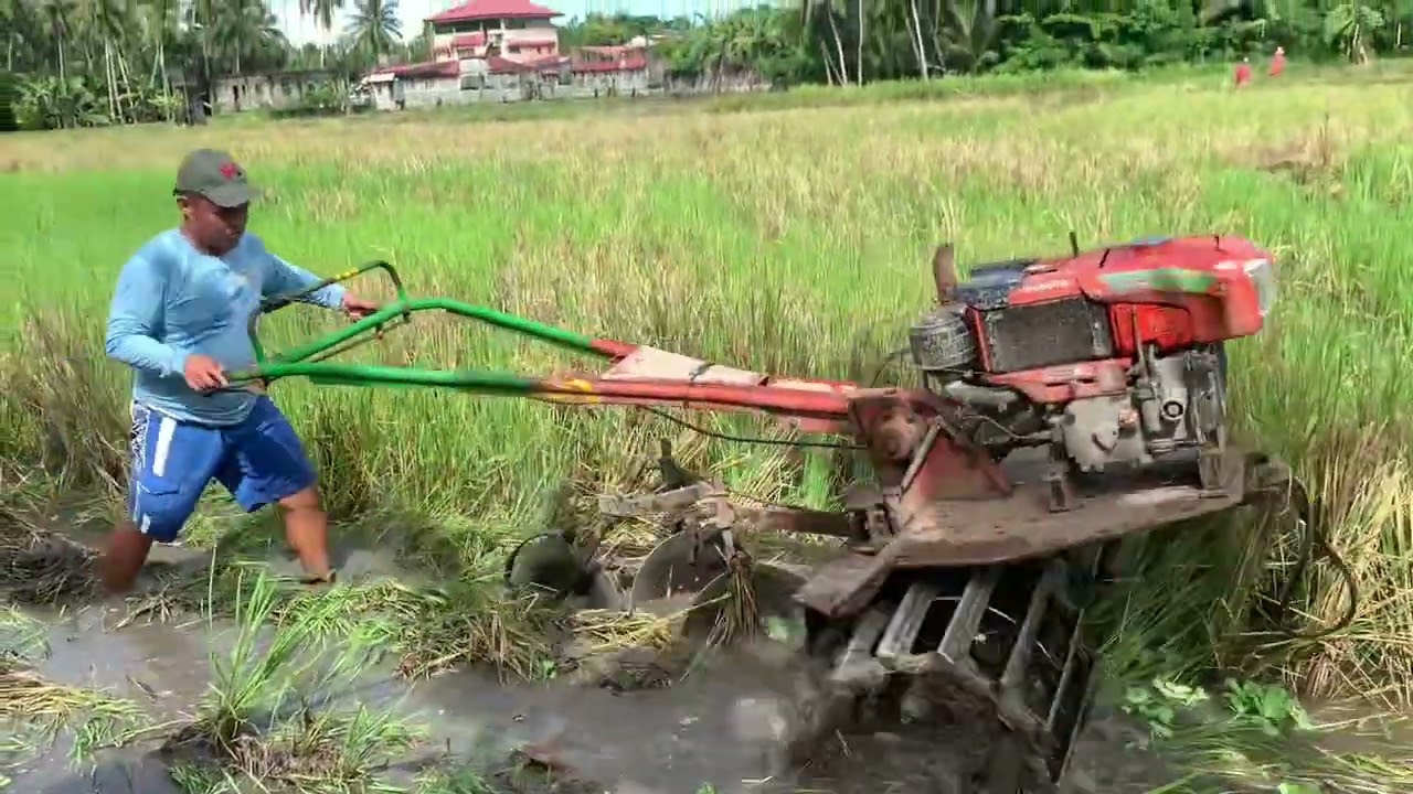 The land fields /part 1