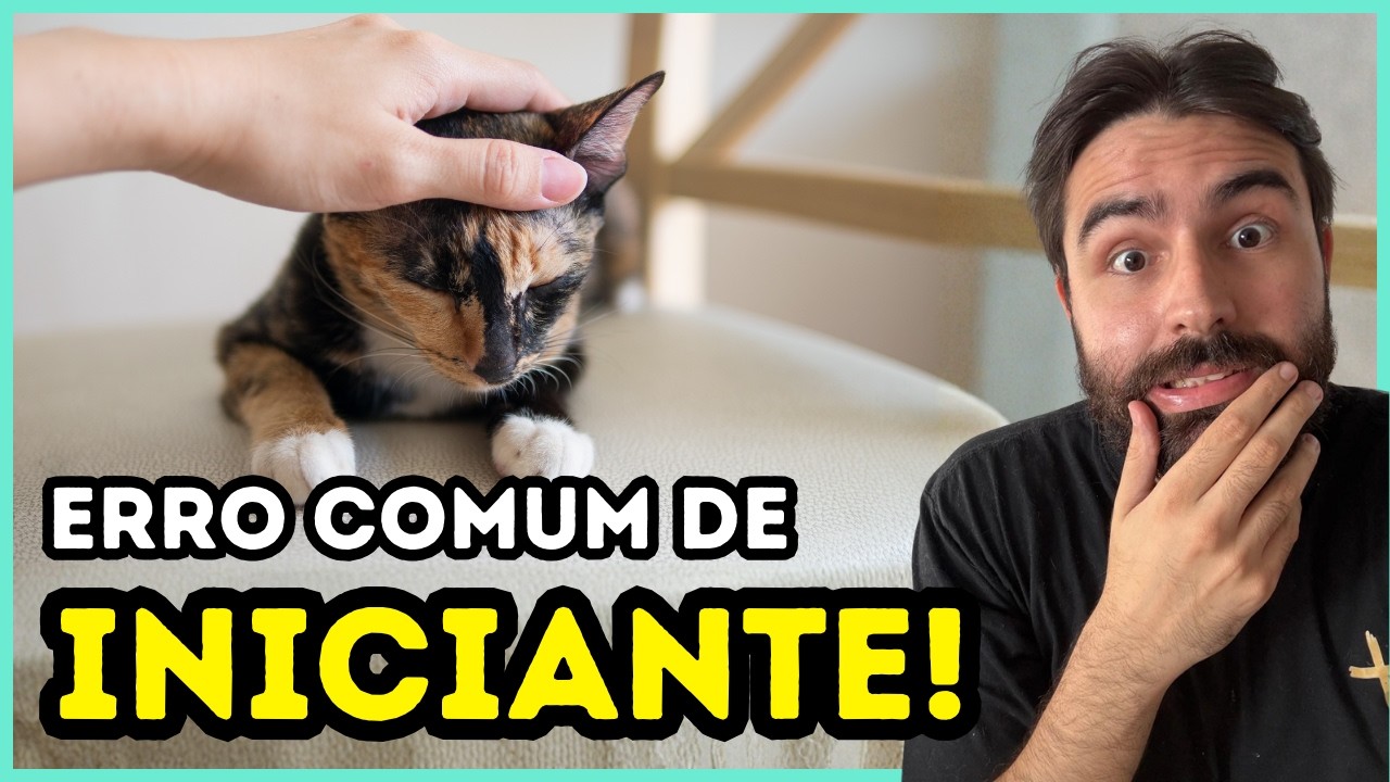 Esse é o Erro MAIS COMUM Que Gateiros INICIANTES Cometem!
