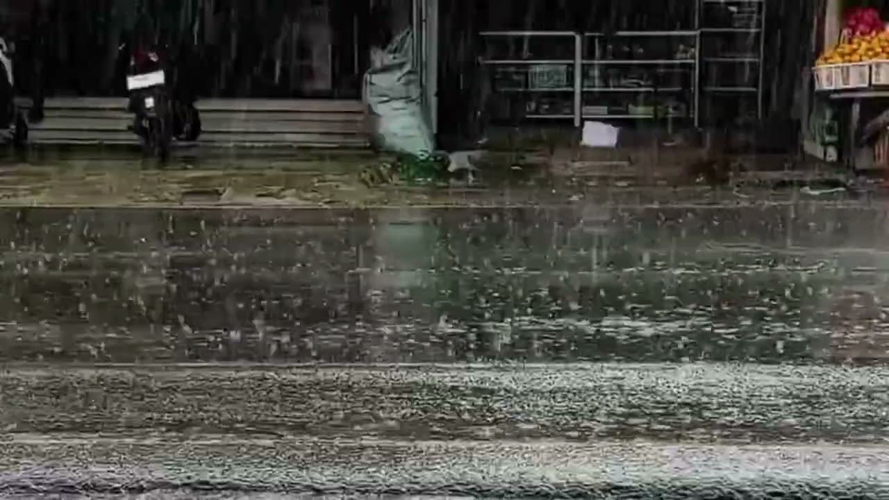 Relaxing Rain Near the Road | Sleep Faster