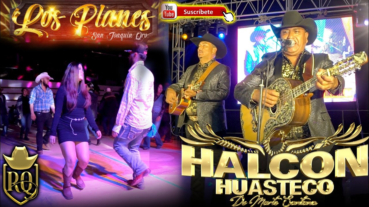 Halcon huasteco en Los Planes del Pueblito  ( huapangos )