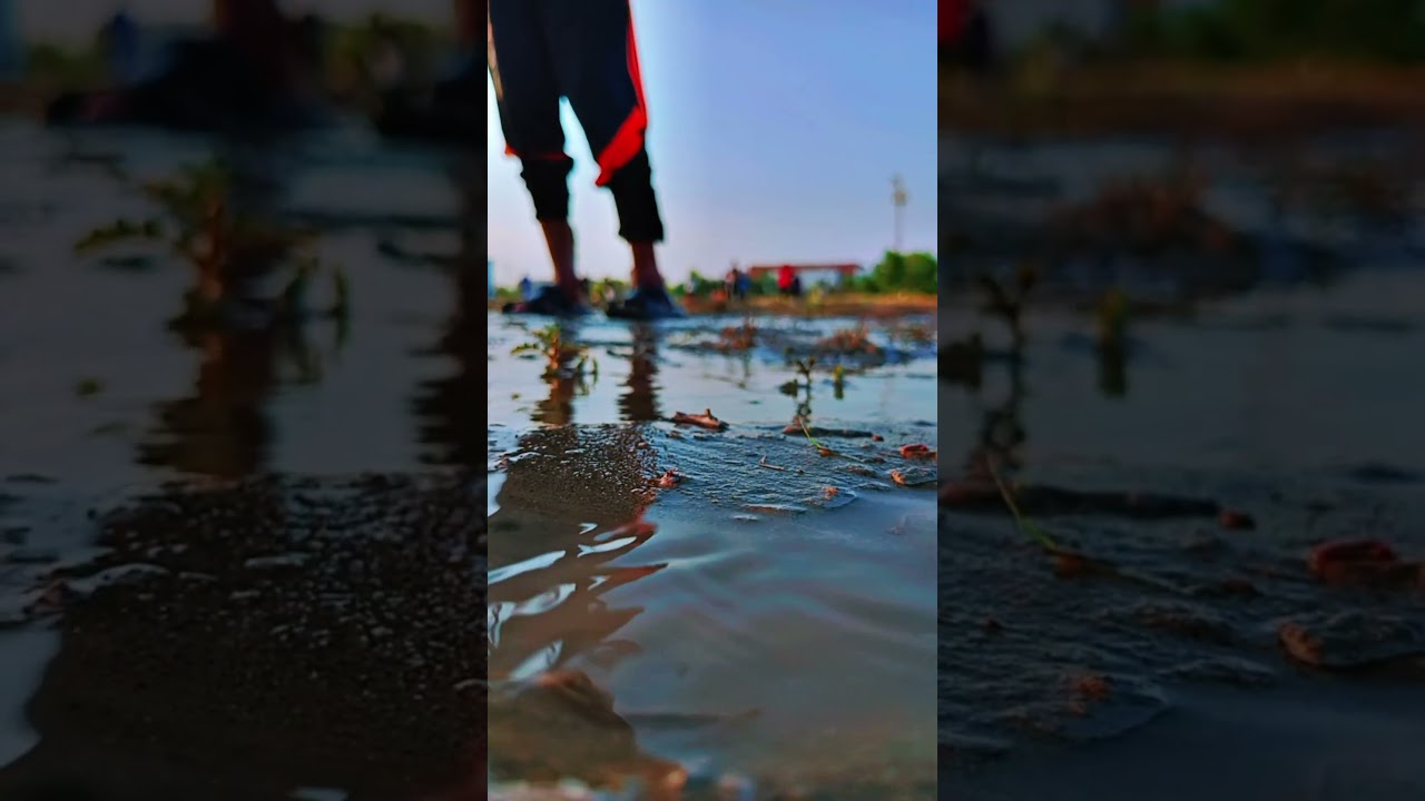 Bhakkar Adam khan Cricket Academy