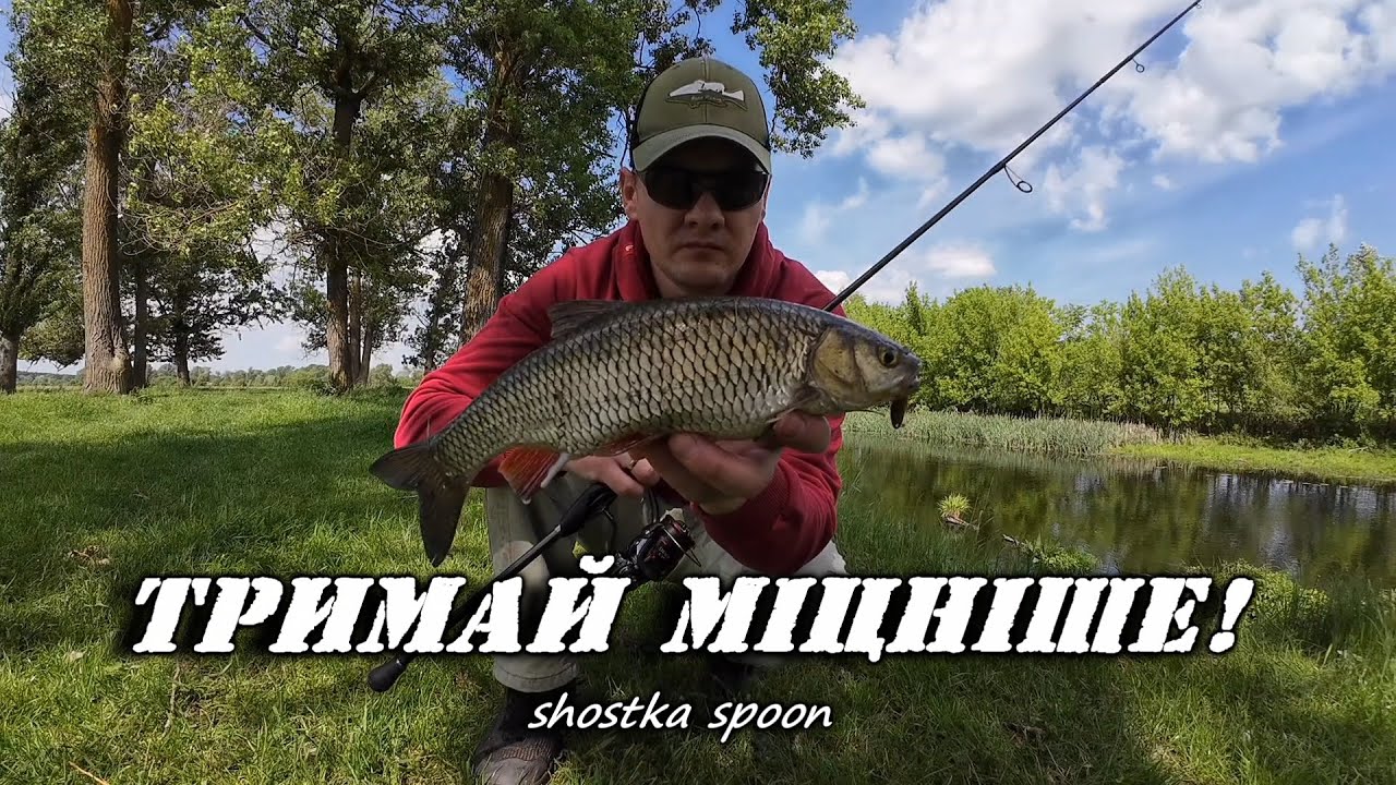 💥ВОНИ ПОВІДРИВАЮТЬ ВАМ ВСЕ‼️ ГОЛОВЕНЬ НА ПСЛІ/Коливалки Shostka spoon