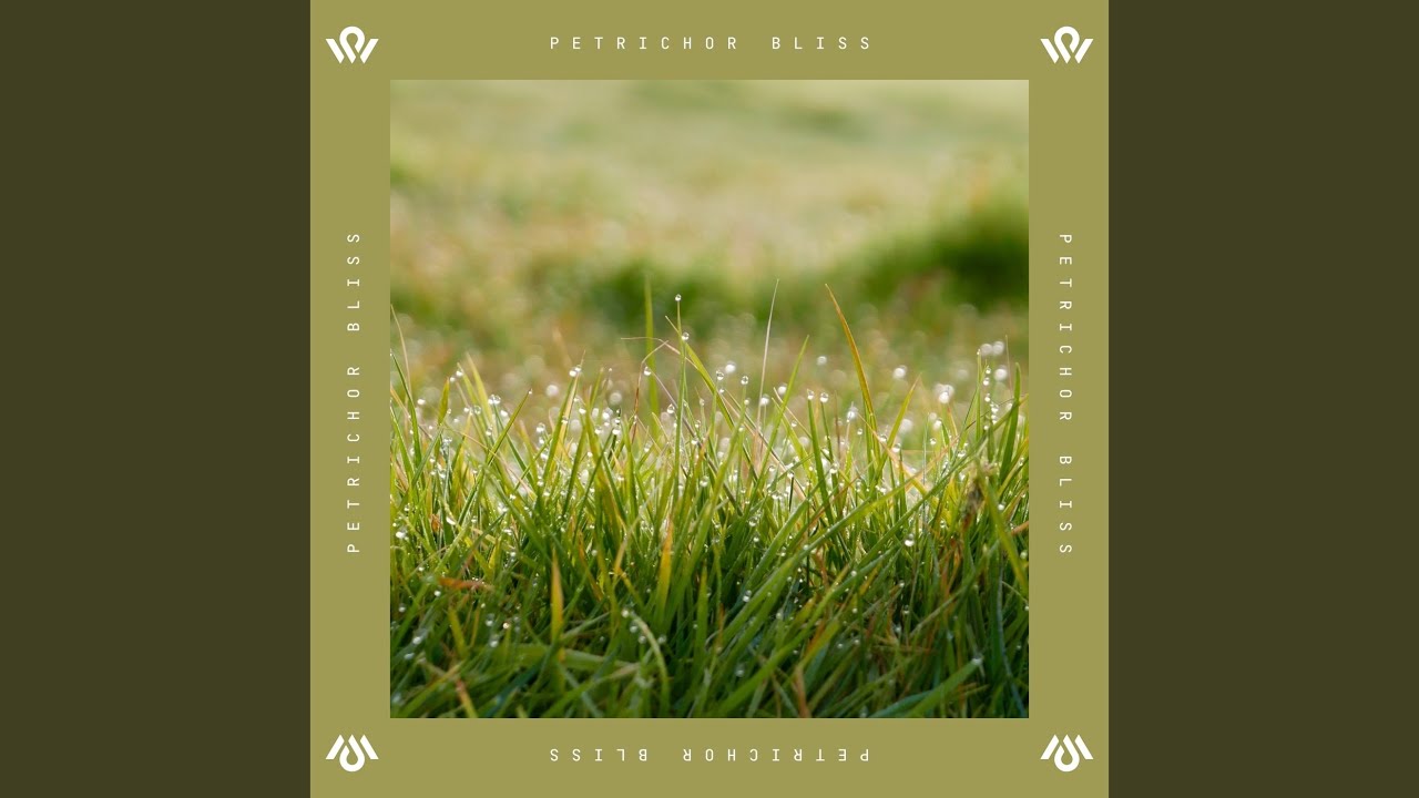Petrichor Dreams