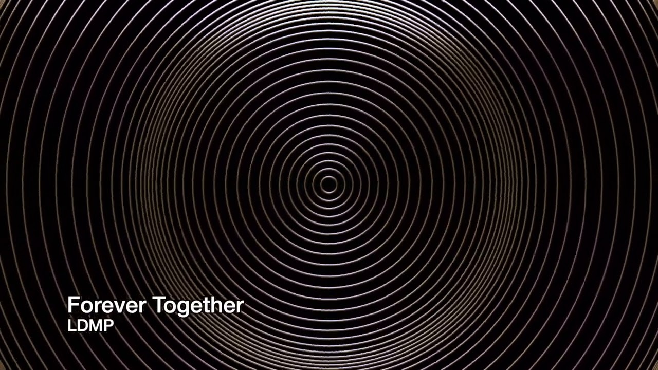 LDMP - Forever Together