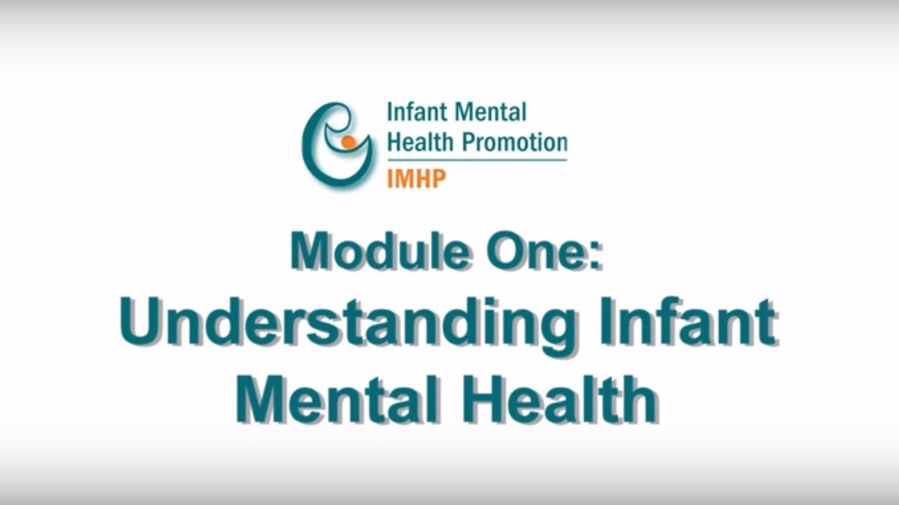 Infant Mental Health From the Bench Module 1 - Understanding Infant Mental Health