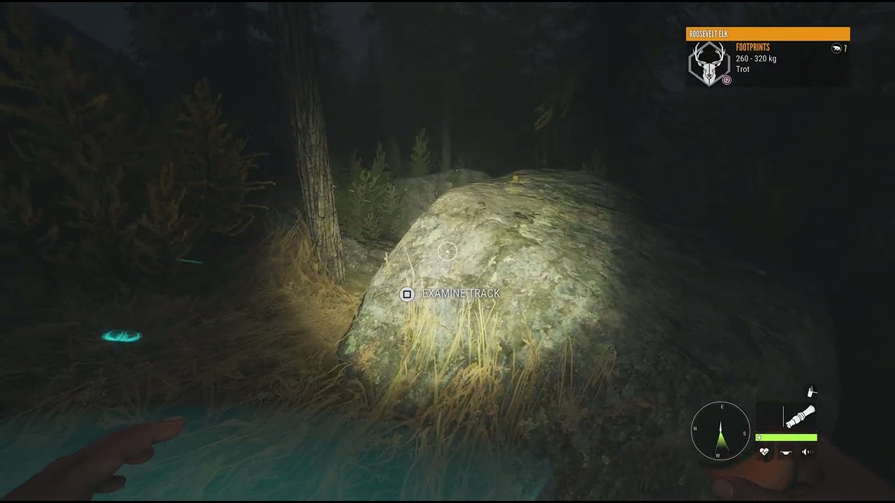 theHunter: Call of the Wild_20260216151939