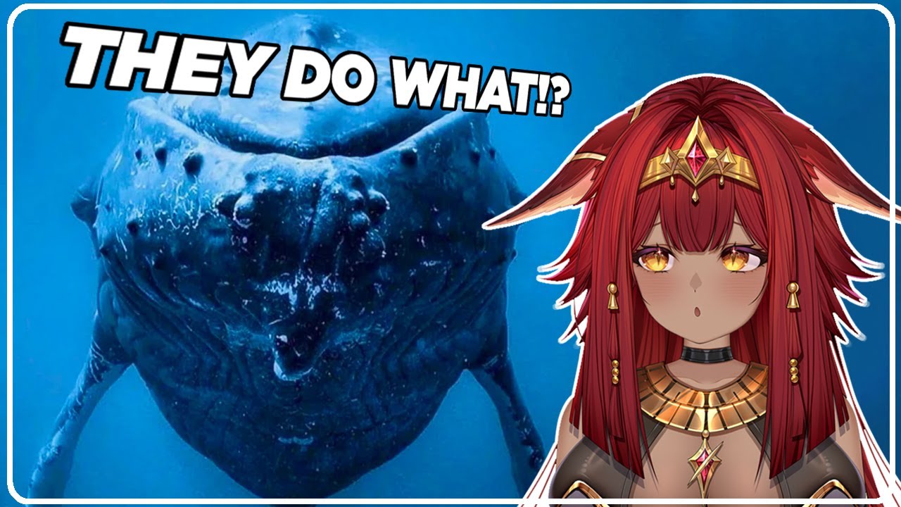 VTuber First Time Reacts to Casual Geographic... YOU NEED THIS TODAY!