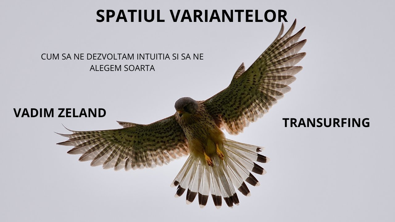 VADIM ZELAND - SPATIUL VARIANTELOR. TRANSURFING