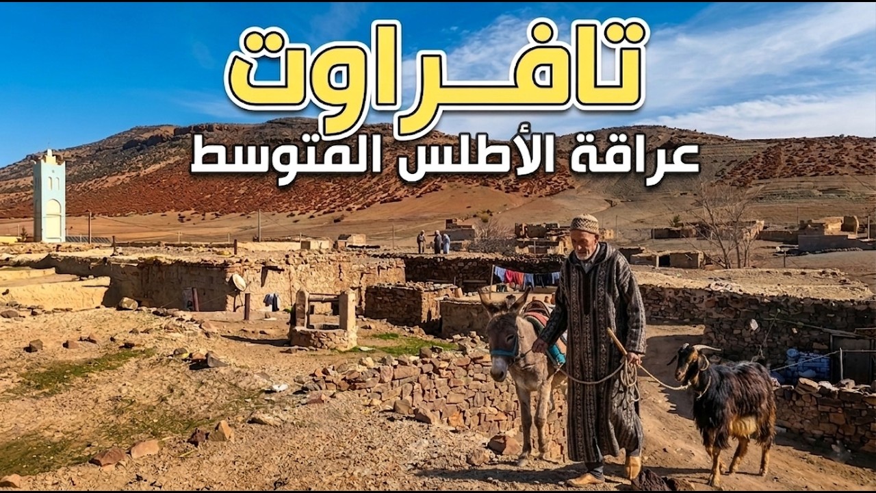 وثائقي: تافراوت آيت علي أولحسن – قرية أمازيغية من قلب الأطلس المتوسط