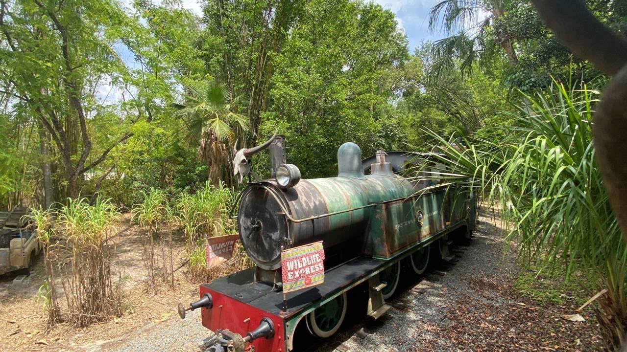 Disney's Animal Kingdom's Wildlife Express 05/06/25