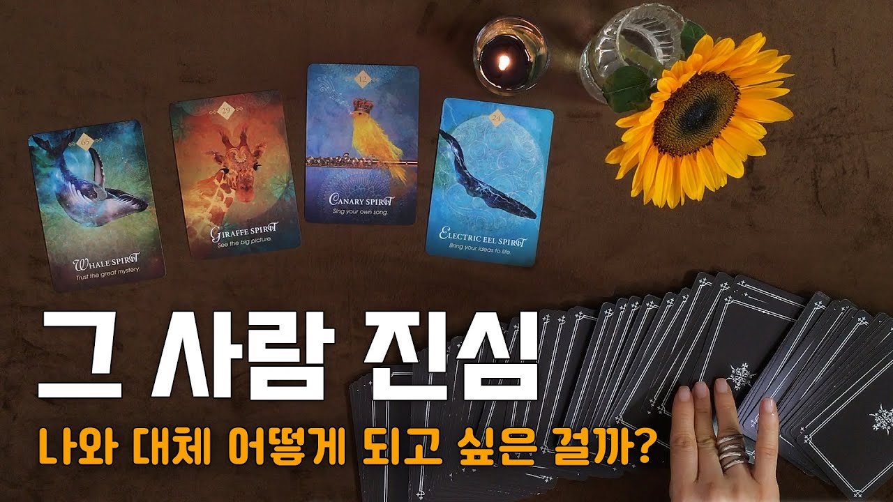 [타로카드] 나를 생각하는 그 사람의 진심, 관계 흐름