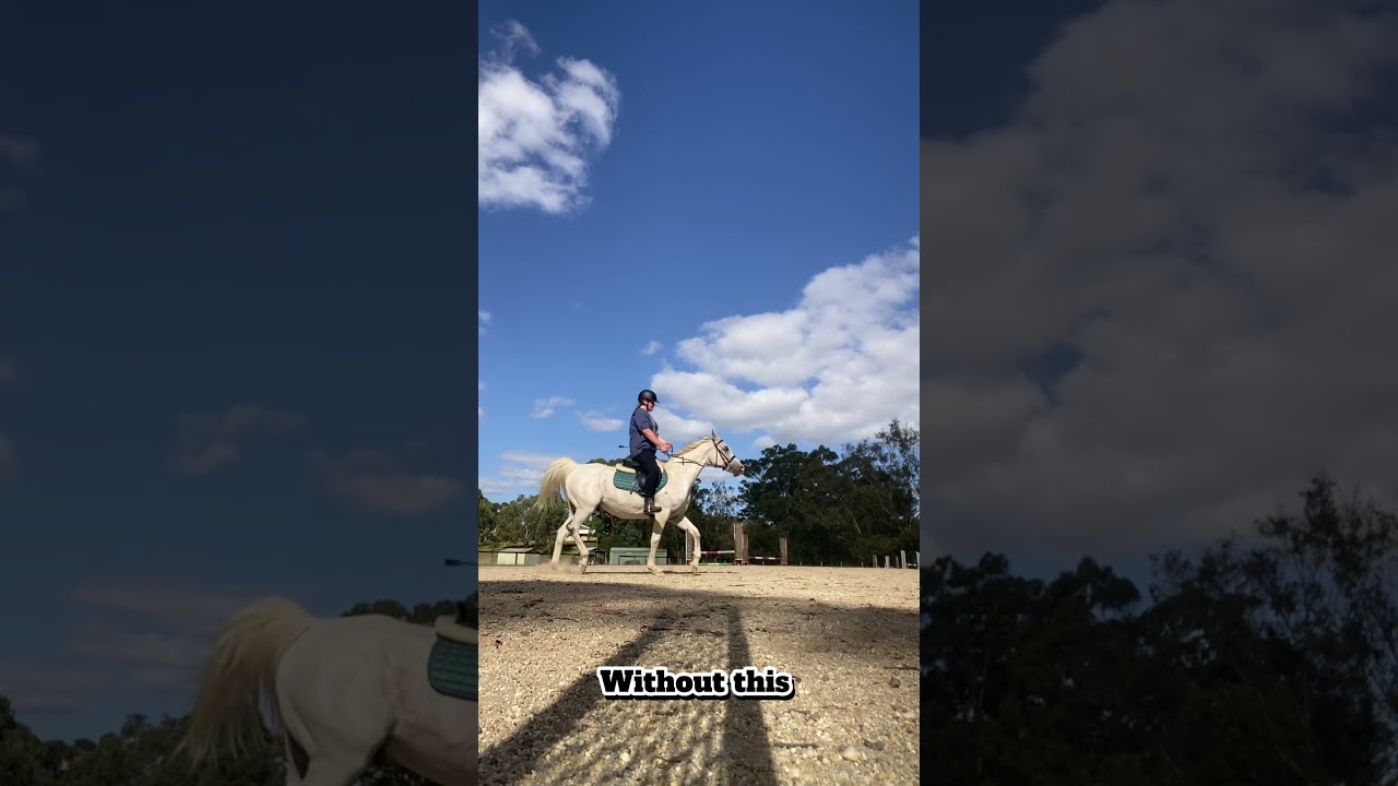 You can’t have good jumping without flat work 