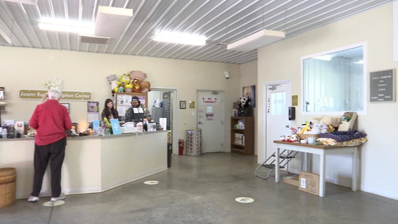 Общество защиты животных Терре-Хот возобновляет местную программу TNR (отлов, стерилизация, выпуск).