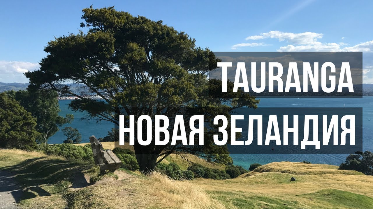 ТАУРАНГА | Новая Зеландия