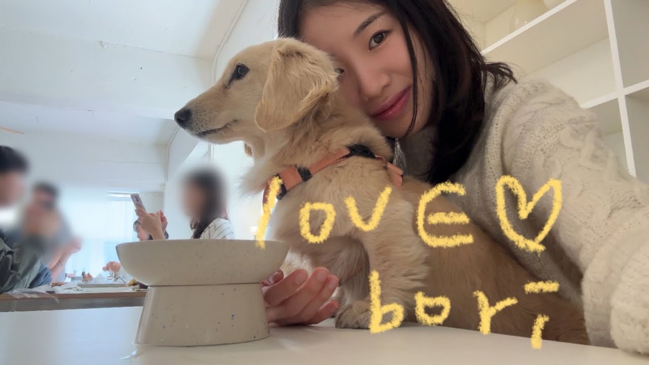 결국 류보리가 되었습니다(구미편)