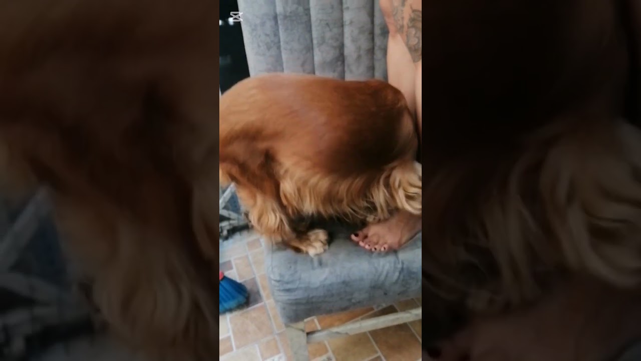 Operación rescate a kitty 🤭