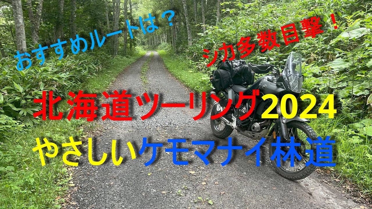 【Ténéré700で行く北海道ツーリング2024】第5回  やさしいケモマナイ林道