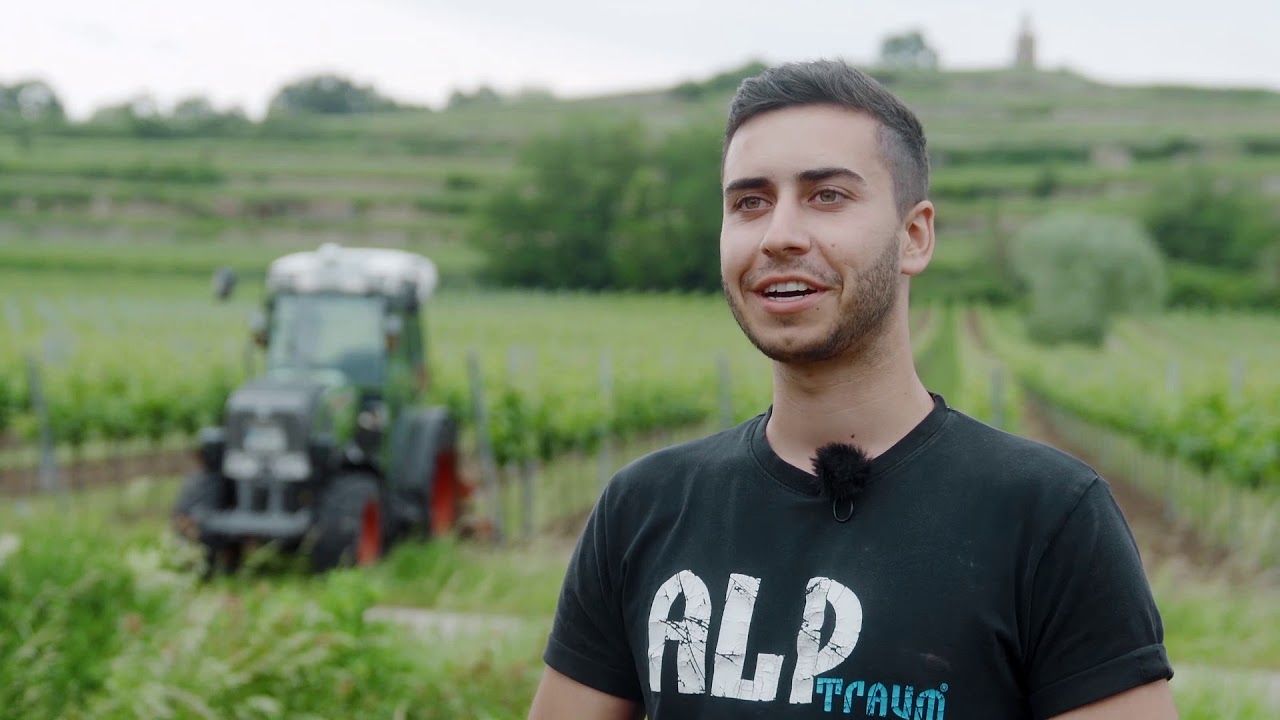 Ein Weinbaubetrieb setzt auf Spurführung | Fendt