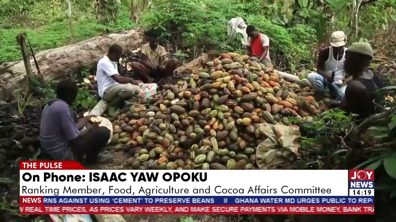 Isaac Yaw Opoku says it is feasible to reduce foreign assistance for cocoa.