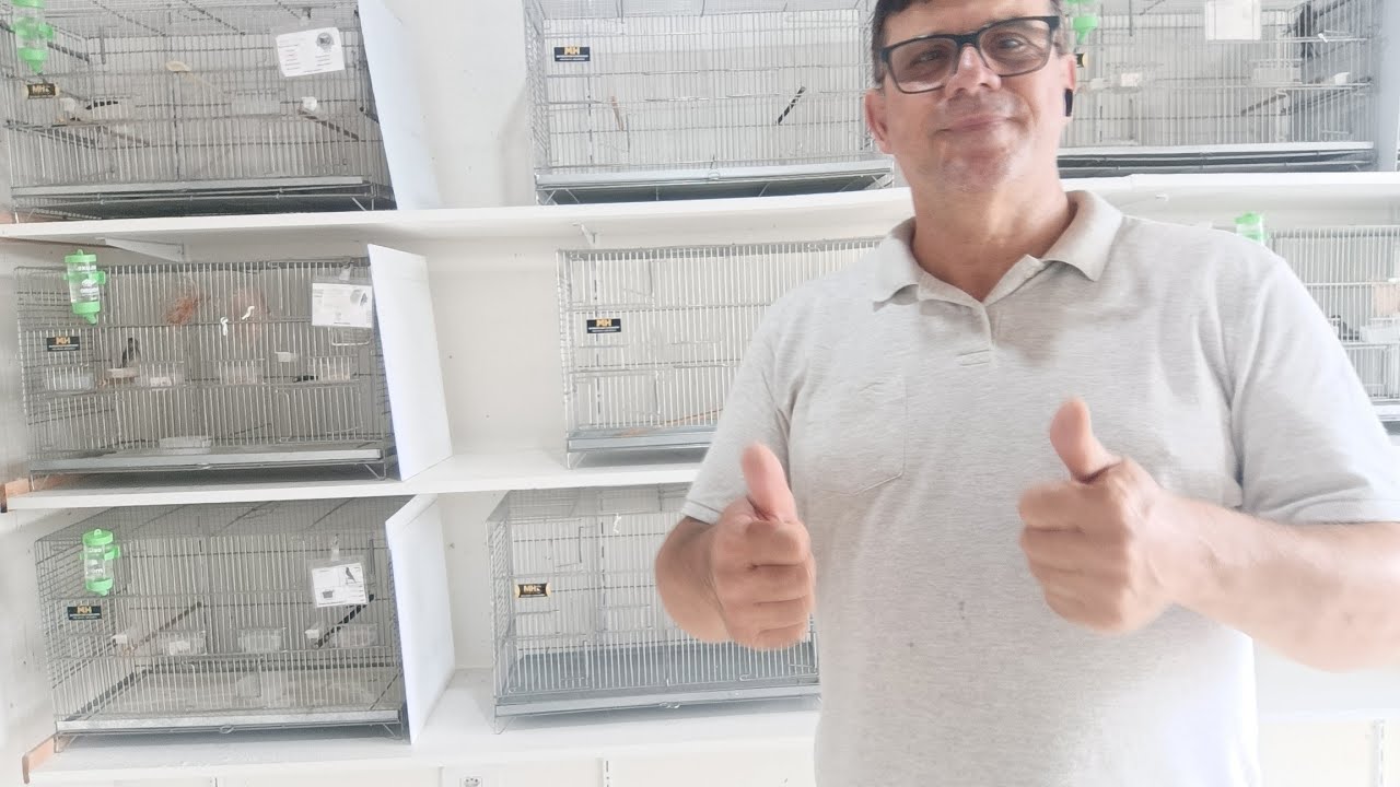 Dica 1 Como Evitar Doenças 