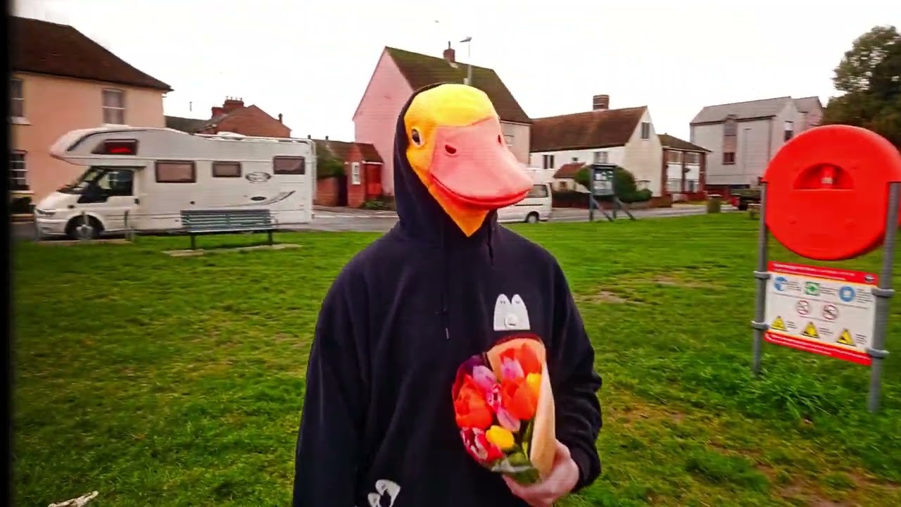 PET NEEDS - Ducklings (Official Video)