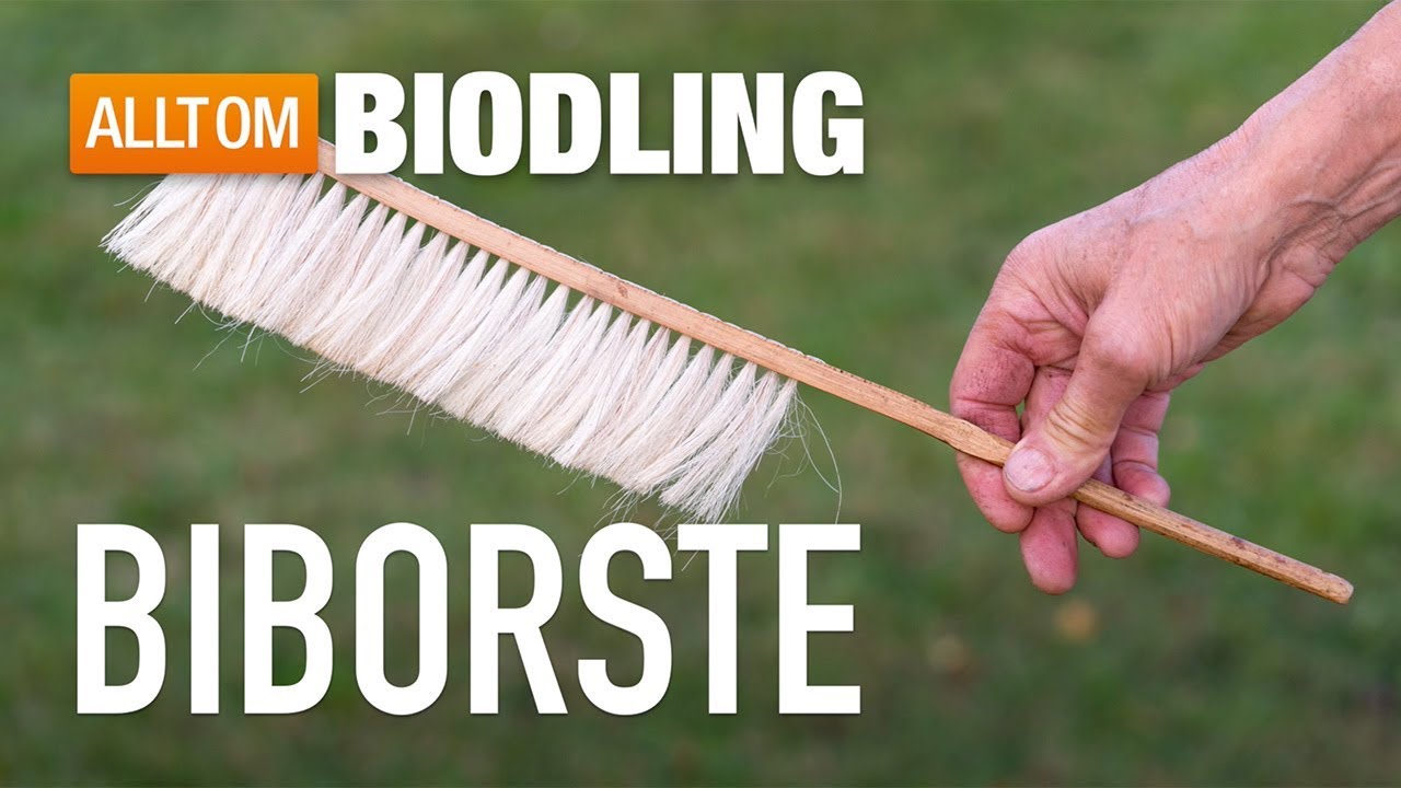 Biborste  - Biredskap - Biodling
