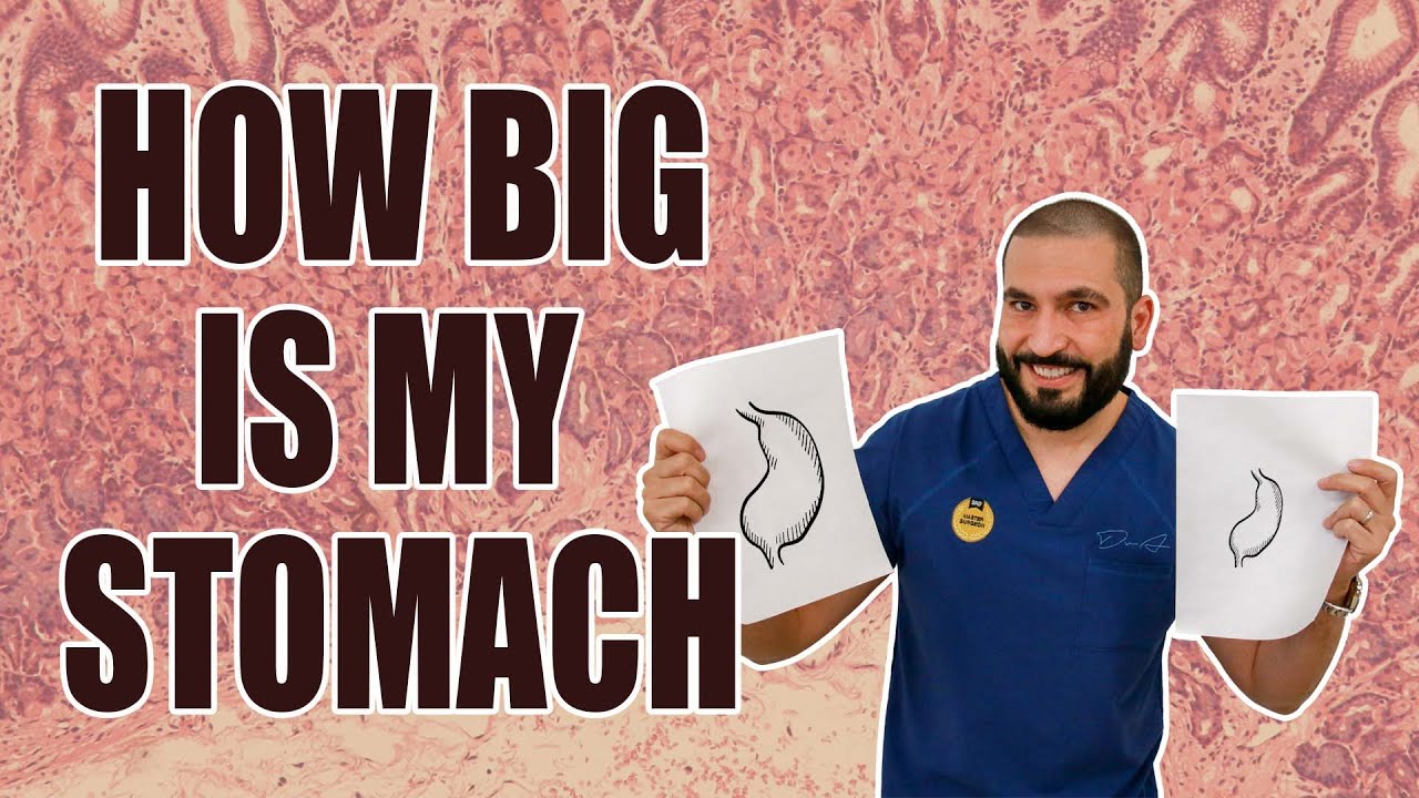 How big is my Stomach | Gastric Sleeve Surgery | Questions and Answers