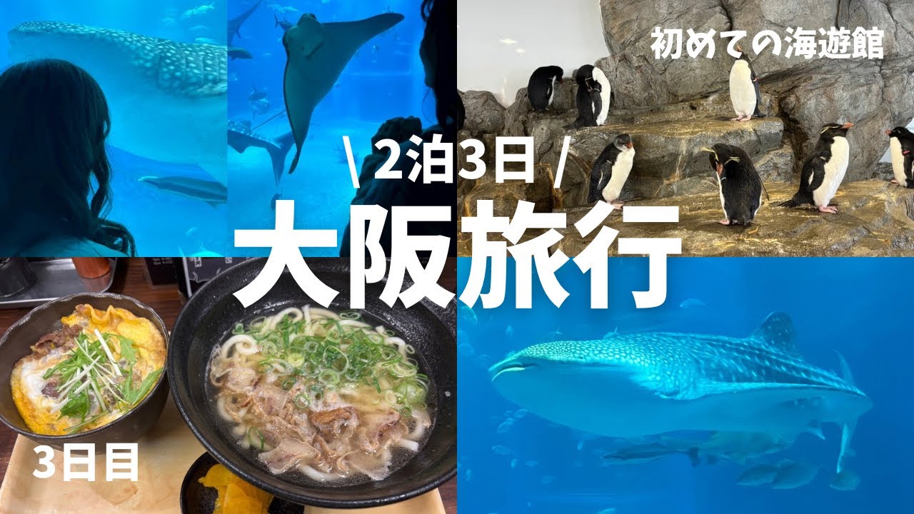 【大阪旅行】初めての海遊館|大阪旅行最終日
